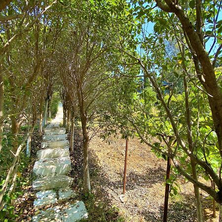 Ramo'S Green Beachside Retreat - Cozy 2 Bedroom Home Vlorë Exterior foto